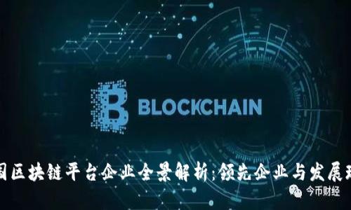中国区块链平台企业全景解析：领先企业与发展现状