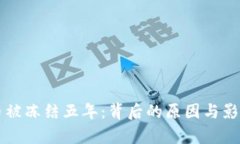 虚拟币被冻结五年：背后的原因与影响解析