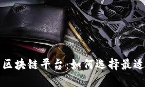 支持网关支付的区块链平台：如何选择最适合您的解决方案