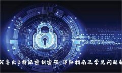 如何导出B特派密钥密码：详细指南及常见问题解