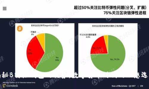揭秘B特派钱包的优势：数字货币时代的理想选择