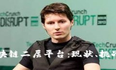 深入探索区块链二层平台：现状、挑战与未来发