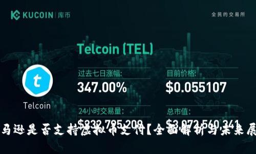亚马逊是否支持虚拟币支付？全面解析与未来展望