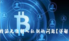 如何解决B特派无法转入私钥的问题？