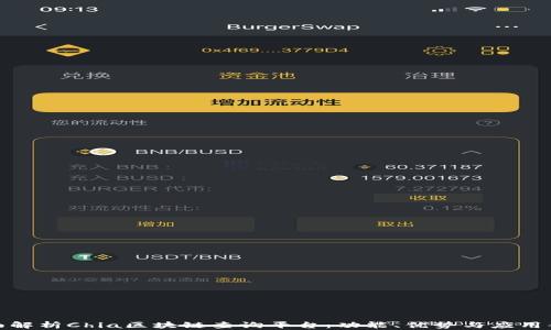 
全面解析Chia区块链查询平台：功能、优势与应用案例