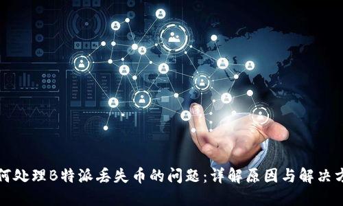 如何处理B特派丢失币的问题：详解原因与解决方案