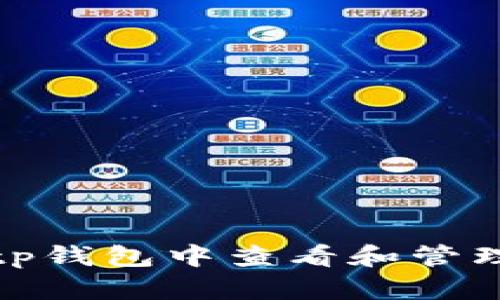 如何在Bitp钱包中查看和管理您的私钥