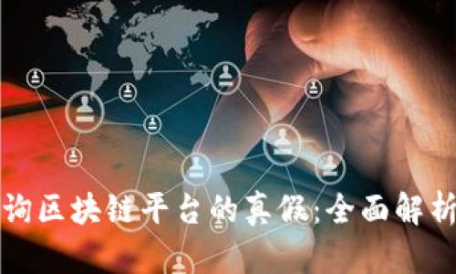 如何有效查询区块链平台的真假：全面解析与实用指南