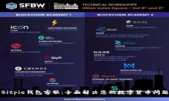 Bitpie钱包客服：全面解决您的数字货币问题