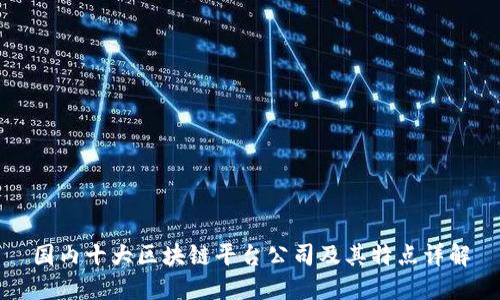 国内十大区块链平台公司及其特点详解