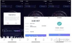 全面解析Paycash虚拟币：未来的支付解