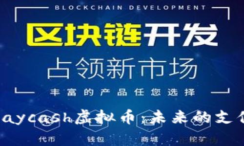 全面解析Paycash虚拟币：未来的支付解决方案