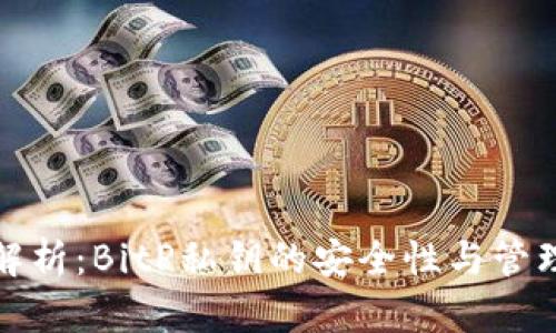 全面解析：BitP私钥的安全性与管理策略
