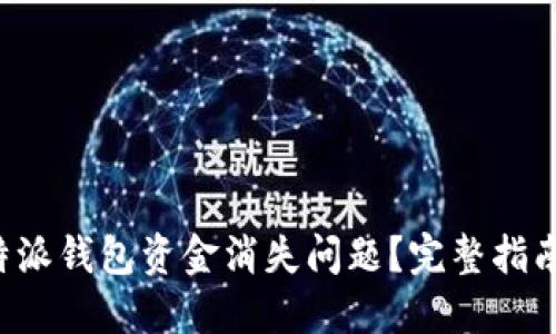 如何处理B特派钱包资金消失问题？完整指南与解决方案