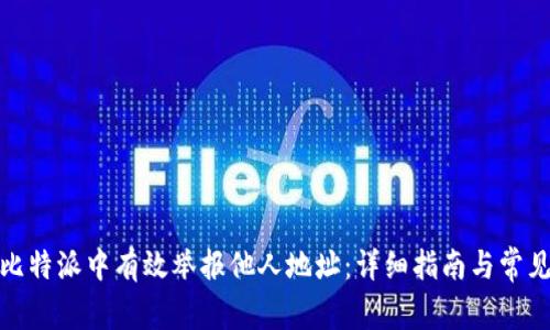 : 如何在比特派中有效举报他人地址：详细指南与常见问题解答