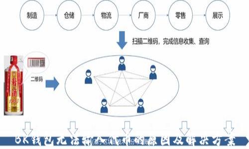 
BK钱包无法输入代币的原因及解决方案