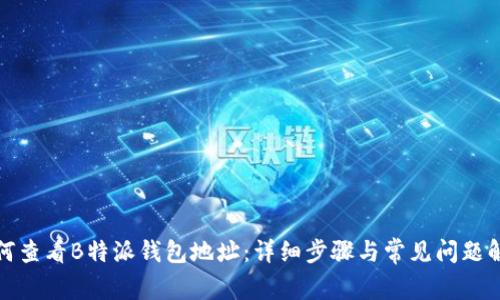 如何查看B特派钱包地址：详细步骤与常见问题解答