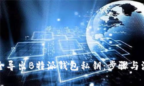 如何安全导出B特派钱包私钥：步骤与注意事项