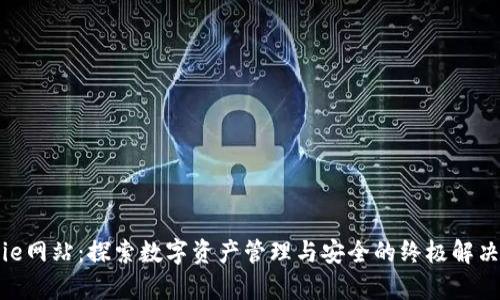 Bitpie网站：探索数字资产管理与安全的终极解决方案