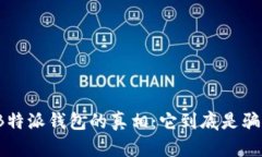 揭秘B特派钱包的真相：它到底是骗局