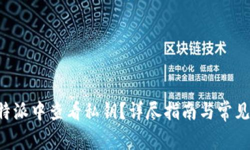 如何在B特派中查看私钥？详尽指南与常见问题解答