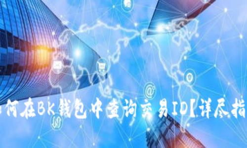 如何在BK钱包中查询交易ID？详尽指南