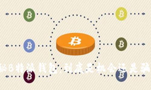 揭秘B特派钱包：到底是机会还是骗局？
