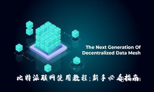 比特派联网使用教程：新手必看指南