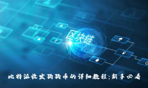 比特派收发狗狗币的详细教程：新手必看